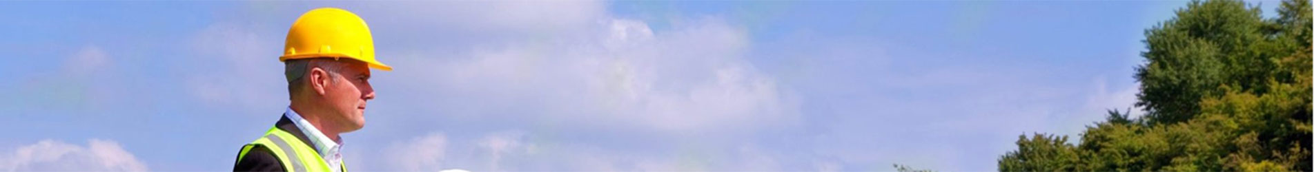 Viability - Southern Energy Consultants
